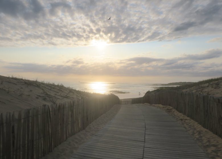 Les pieds dans le sable