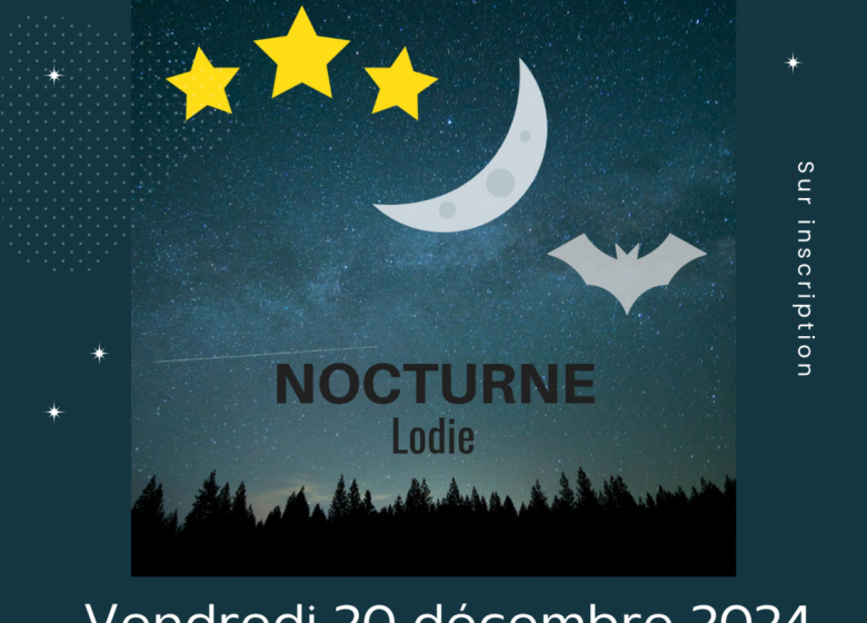 Spectacle « Lodie Nocturne »