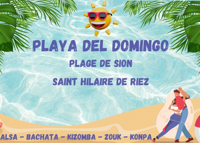 Playa del Domingo