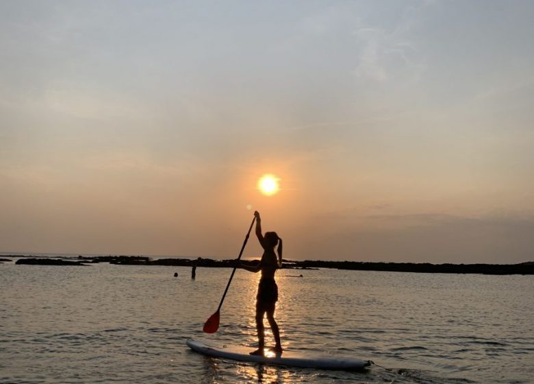 LOCATION PADDLE – ECOLE DE VOILE DE LA NORMANDELIÈRE